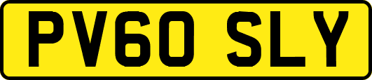 PV60SLY
