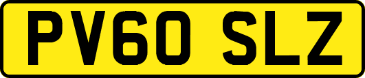 PV60SLZ