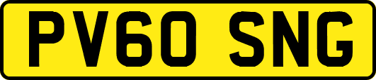 PV60SNG