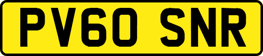 PV60SNR