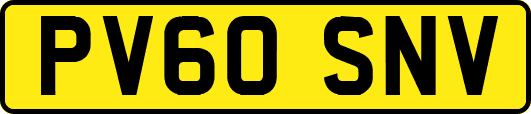 PV60SNV