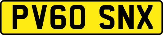 PV60SNX