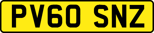 PV60SNZ