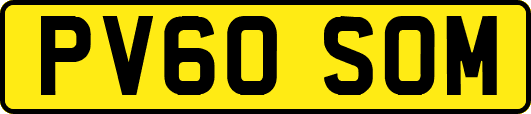PV60SOM