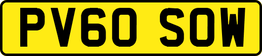 PV60SOW