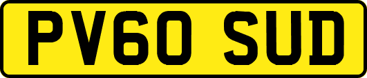 PV60SUD