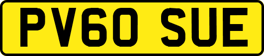 PV60SUE