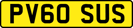 PV60SUS