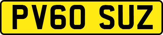 PV60SUZ