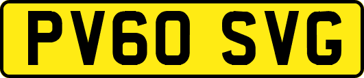 PV60SVG