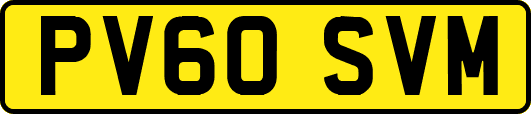 PV60SVM