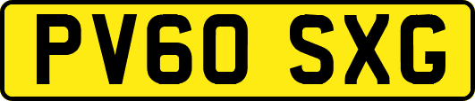 PV60SXG