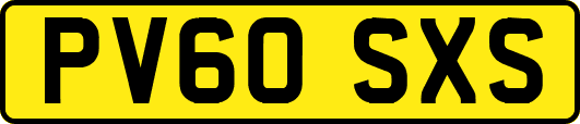 PV60SXS