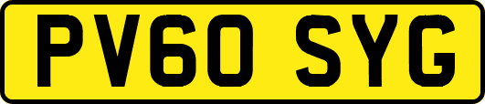 PV60SYG