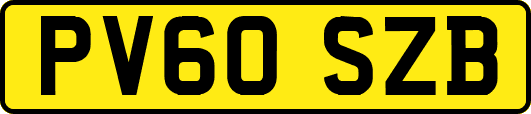 PV60SZB