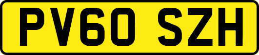 PV60SZH