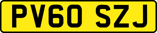 PV60SZJ