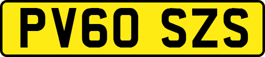 PV60SZS