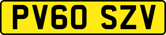 PV60SZV
