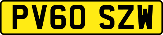 PV60SZW