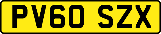 PV60SZX