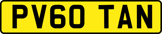 PV60TAN
