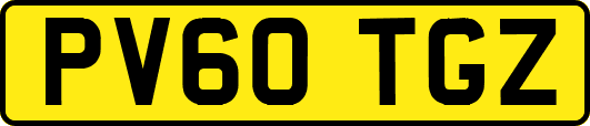 PV60TGZ