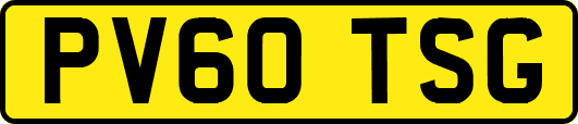 PV60TSG
