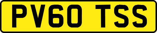 PV60TSS