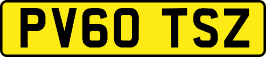 PV60TSZ