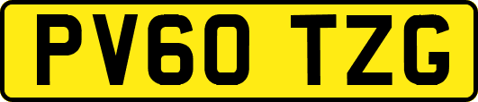 PV60TZG