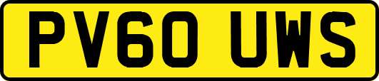 PV60UWS