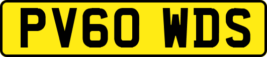 PV60WDS