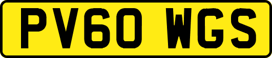 PV60WGS