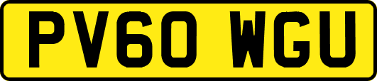 PV60WGU