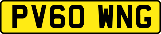 PV60WNG