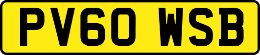 PV60WSB