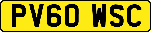 PV60WSC