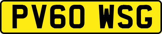 PV60WSG