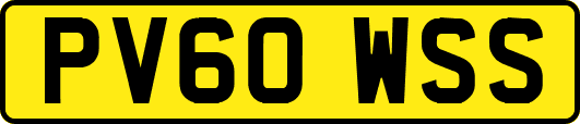 PV60WSS
