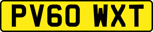 PV60WXT