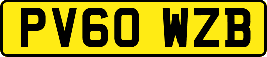 PV60WZB