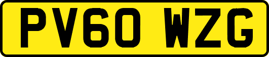 PV60WZG