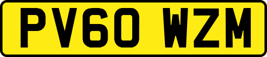 PV60WZM