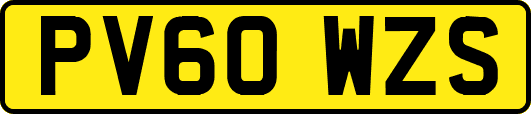 PV60WZS