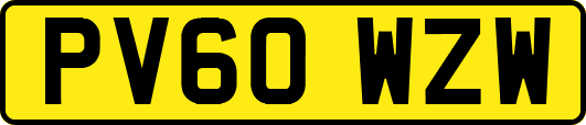 PV60WZW