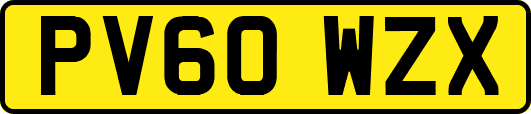 PV60WZX