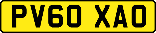 PV60XAO