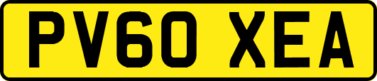 PV60XEA