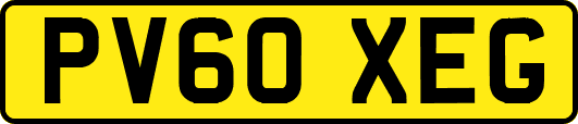 PV60XEG